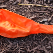 Rubber (latex) balloon found along East-West Highway, Silver Spring, MD. 