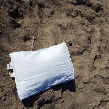Pillow found on the beach in California.