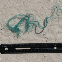 Fishing line found on the beach.
