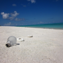 Glass light bulb found on the beach at Midway Atoll, in the Northwestern Hawaiian Islands. Though the light bulb also has a metal end, the predominant material is glass.
