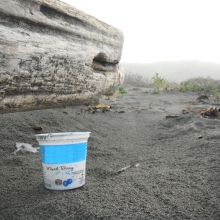 Plastic yogurt container found on Manila beach, CA.