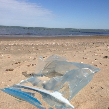 Resealable plastic bag found along the shoreline of the Great Lakes.