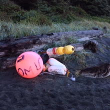 Plastic floats and buoys found on Shi Shi beach in Washington.