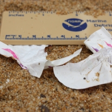Food wrapper found on the beach at Sandy Point State Park, MD.