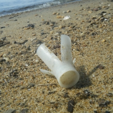 Plastic shotgun shell wad found at Gibson Island, Chesapeake Bay.