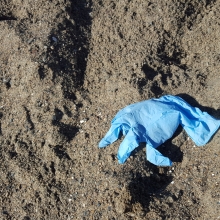 Rubber (latex) glove found on the beach in California.