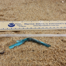 Plastic straws found on the beach at Sandy Point State Park, MD.