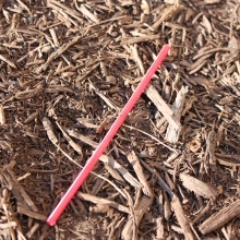 Plastic straw found along East-West Highway, Silver Spring, MD.