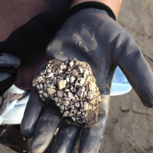 Piece of asphalt found on the beach in the Great Lakes.