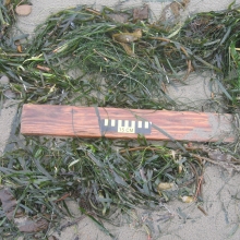 Processed lumber found on Drakes Beach, Point Reyes National Seashore, CA. This is classified as large debris.