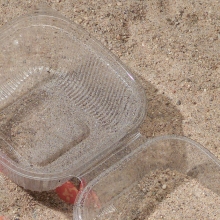 Plastic take out container found on the beach.