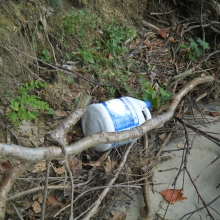 Plastic bleach jug found along the shore of Rhode River in Maryland.