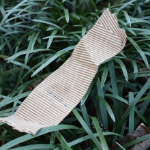 Cardboard coffee sleeve found along East-West Highway, Silver Spring, MD. (Photo Credit: NOAA).