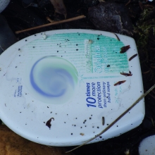 Plastic hand soap bottle found on Hogg Island, Blue Fox Bay, Afognak, AK.