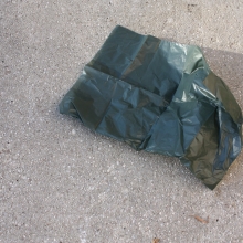 Plastic dog bag found along East-West Highway, Silver Spring, MD.