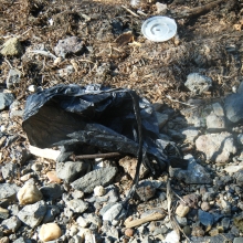 Plastic garbage bag found on the shore of North Point State Park, MD.