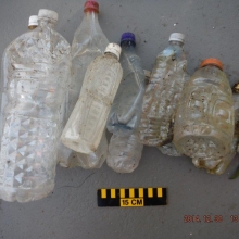 An assortment of plastic beverage bottles found on Norwegian Memorial Beach, WA.
