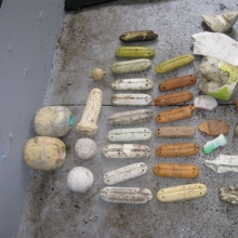 Plastic foam floats found on Mosquito Creek beach, WA.