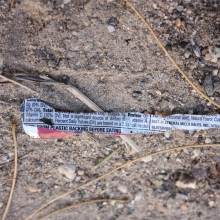 Plastic food wrapper found along East-West Highway, Silver Spring, MD.