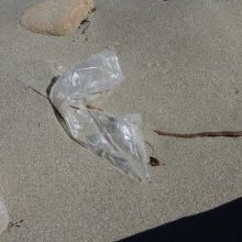 Filmed plastic sheet found on the beach at Walk on Beach, CA.