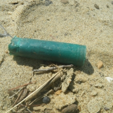 Plastic shotgun shell found on a beach on Gibson Island, Chesapeake Bay.