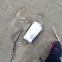 Bait trap used for crabbing found washed ashore on Drakes Beach, Point Reyes National Seashore, CA.
