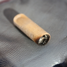 Wooden cigar tip found along East-West Highway, Silver Spring, MD.