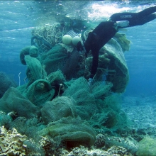 Derelict Fishing Gear Removal from Midway Atoll