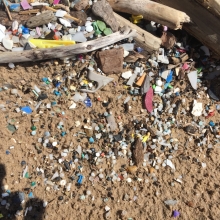 Microplastics found on a Lake Ontario beach.