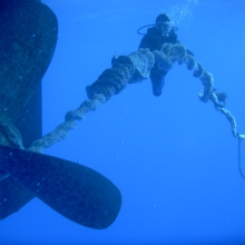 Fouled Propeller