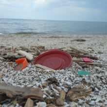 Plastic on Lake Erie shoreline. 