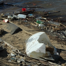 Debris on the banks of the Potomac River. 