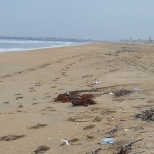 Marine debris found on a sandy beach in Orange County California.