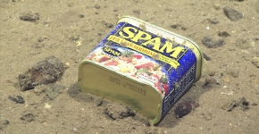 A food container, seen resting at 4,947 meters on the slopes of a canyon leading to the Sirena Deep.
