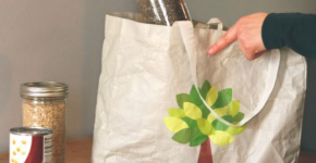 Groceries and a reusable cloth grocery bag.