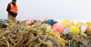 A person overlooking a large pile of marine debris.