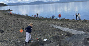 Volunteers cleaning up marine debris along a shoreline covered in logs.