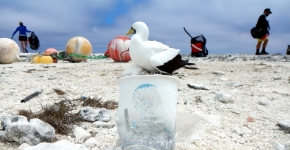 A coffee cup found on the remote northwestern Hawaiian islands.