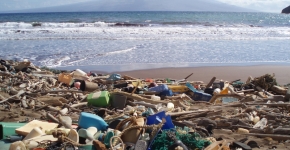 Debris such as plastic detergent bottles, crates, buoys, combs, and water bottles litter a beach. 