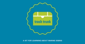 Cover of Marine Debris in the Great Lakes Display Cards.