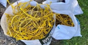 A bag of yellow rope pieces.