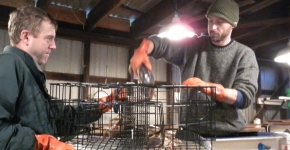 Researchers load pots into a tub for testing. 