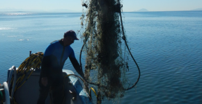 A worker on a boat removing a derelict net from the Puget Sound.