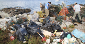 Pile of marine debris on a shore. 