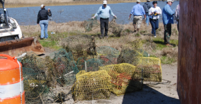 Volunteers picking up derelict crab pots.