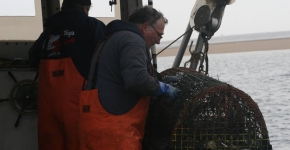 Lobstermen pulling a derelict trap out of the water.