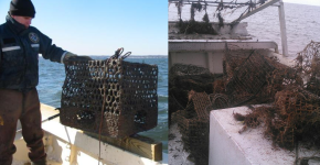 A person holding a derelict crab pot and a pile of derelict crab pots on a boat.