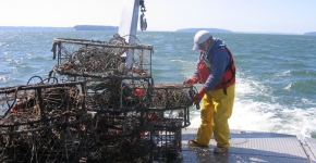A deckhand handles one of many derelict crab pots on the deck of a vessel in the Puget Sound.