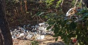 A forest stream littered with plastic debris.