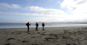Three people surveying a beach for marine debris.